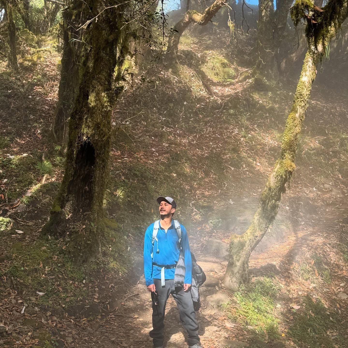 Oshan in a blue jacket and cap, looking up from a misty forest trail with sunlight through the trees.