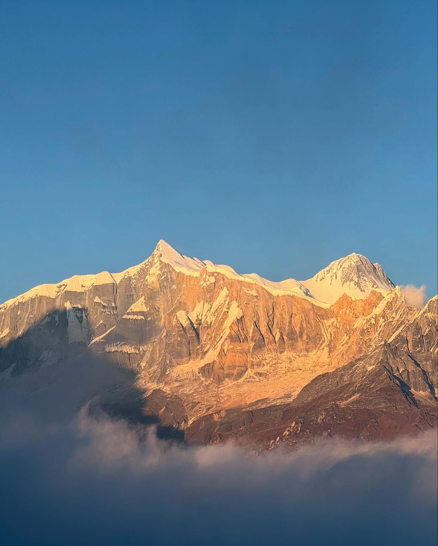 Snow peaks lit gold by the setting sun, rising above a layer of cloud.